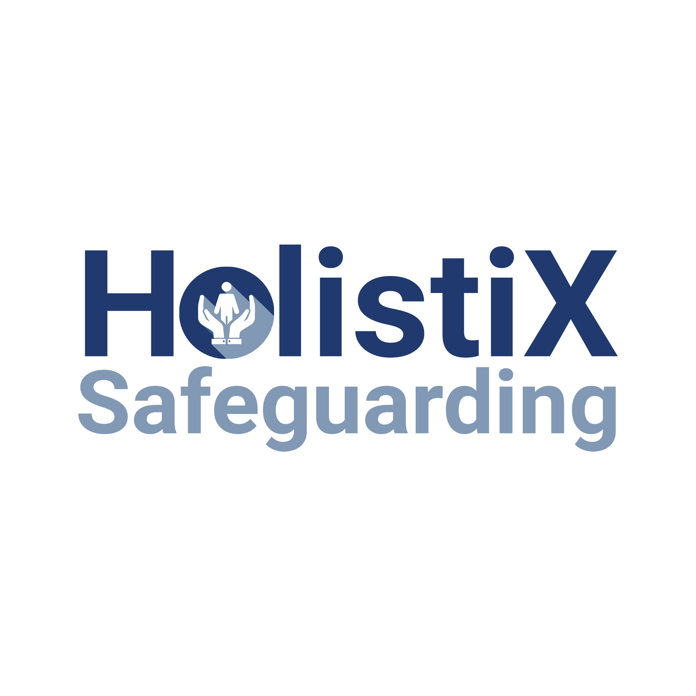 Holistix Safeguarding Logo & Link